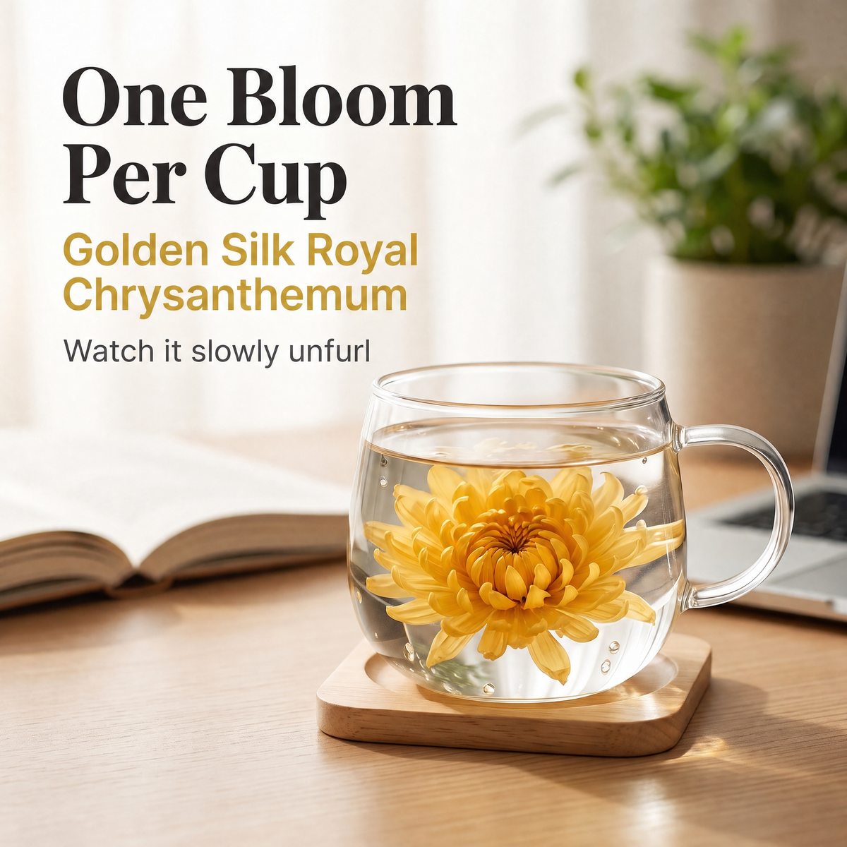 Whole Flower Tea — 18 Varieties | Chrysanthemum, Chamomile, Marigold & More